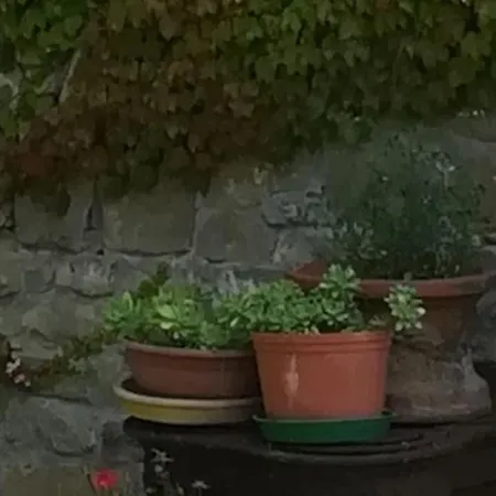 A Bossolasco Con Piscina *