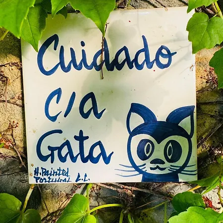 A Bossolasco Con Piscina